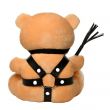 Urso de Peluche BDSM